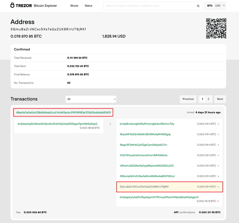 Blockbook Explorer cho ph&eacute;p kiểm tra số dư hiện tại của địa chỉ v&agrave; to&agrave;n bộ lịch sử hoạt động