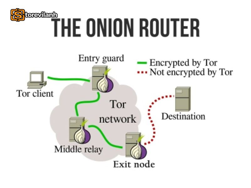 Tor trong Trezor Suite gi&uacute;p ẩn IP, tăng quyền ri&ecirc;ng tư khi quản l&yacute; t&agrave;i sản số