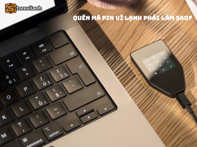 Quên mã PIN ví lạnh phải làm sao? Cách xử lý an toàn